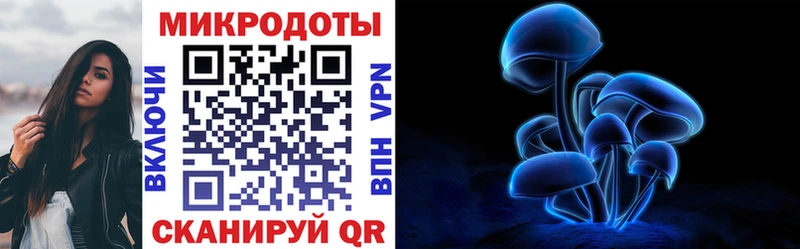 что такое Кольчугино Псилоцибиновые грибы Psilocybe